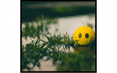 Want students to learn? Three key points for contentment.